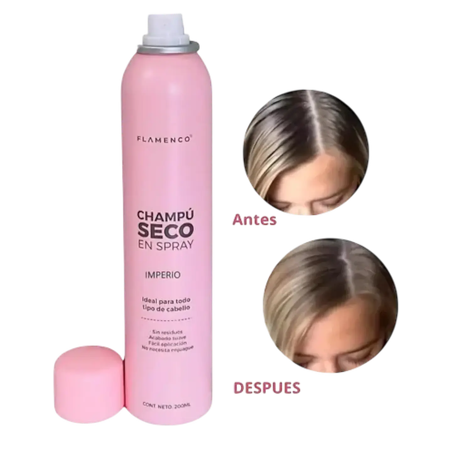 CHAMPÚ SECO EN SPRAY 1