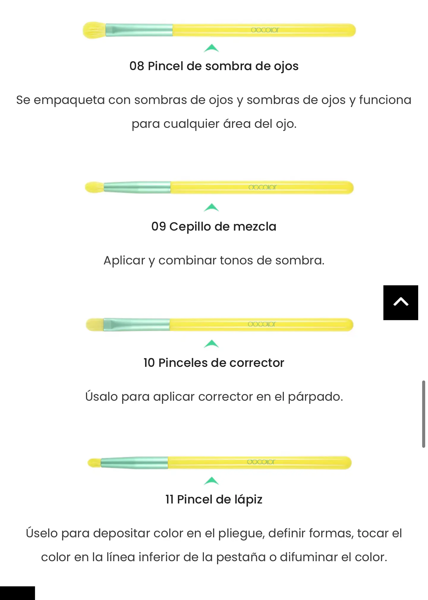 brochas profesionales docolor 4