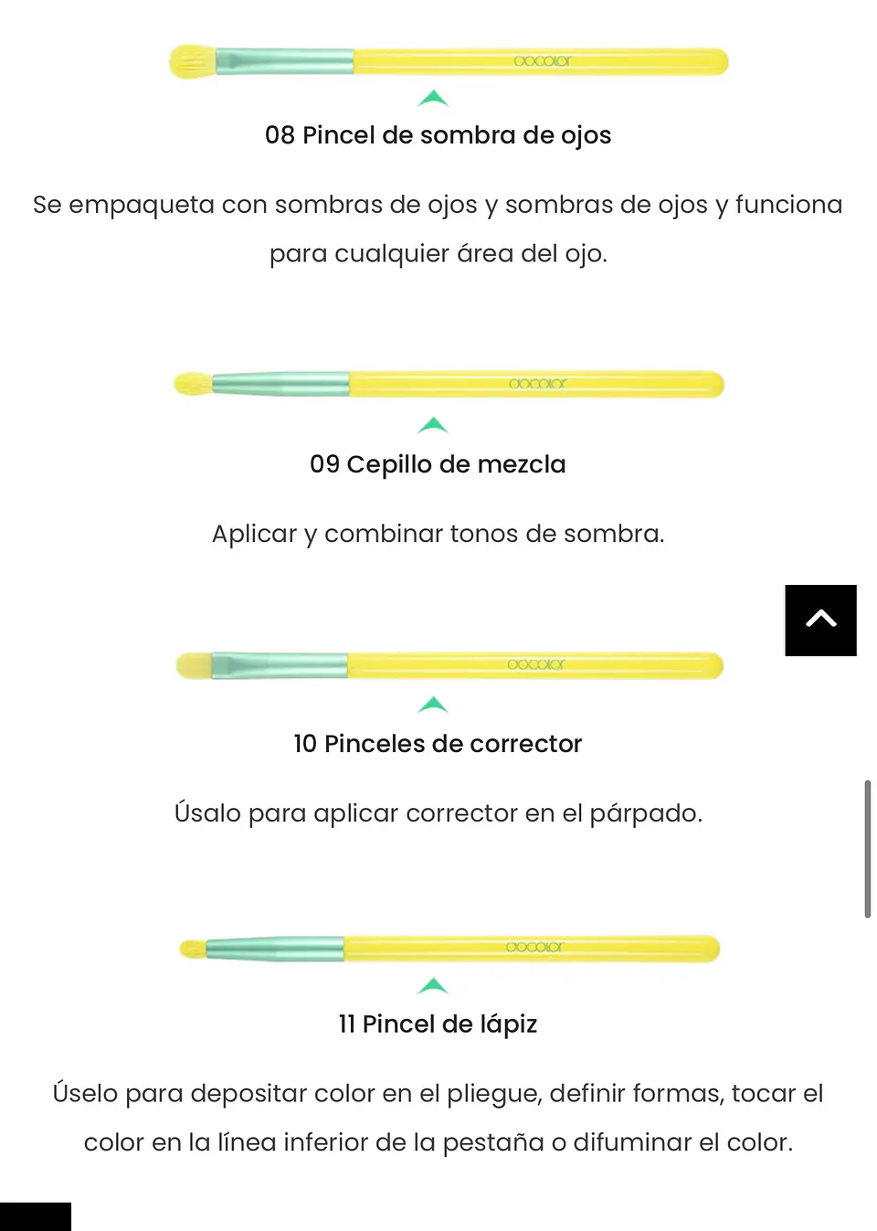 brochas profesionales docolor 4