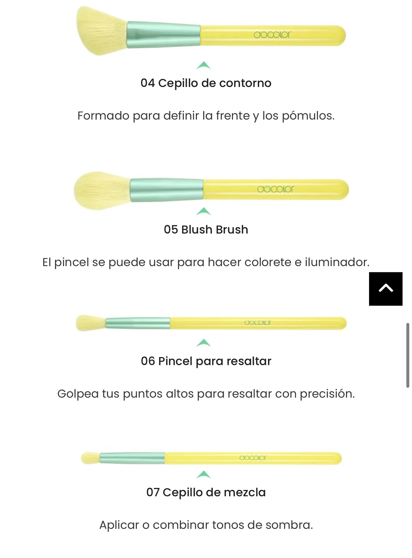 brochas profesionales docolor 5
