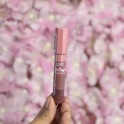 LIP CRAYON USHAS