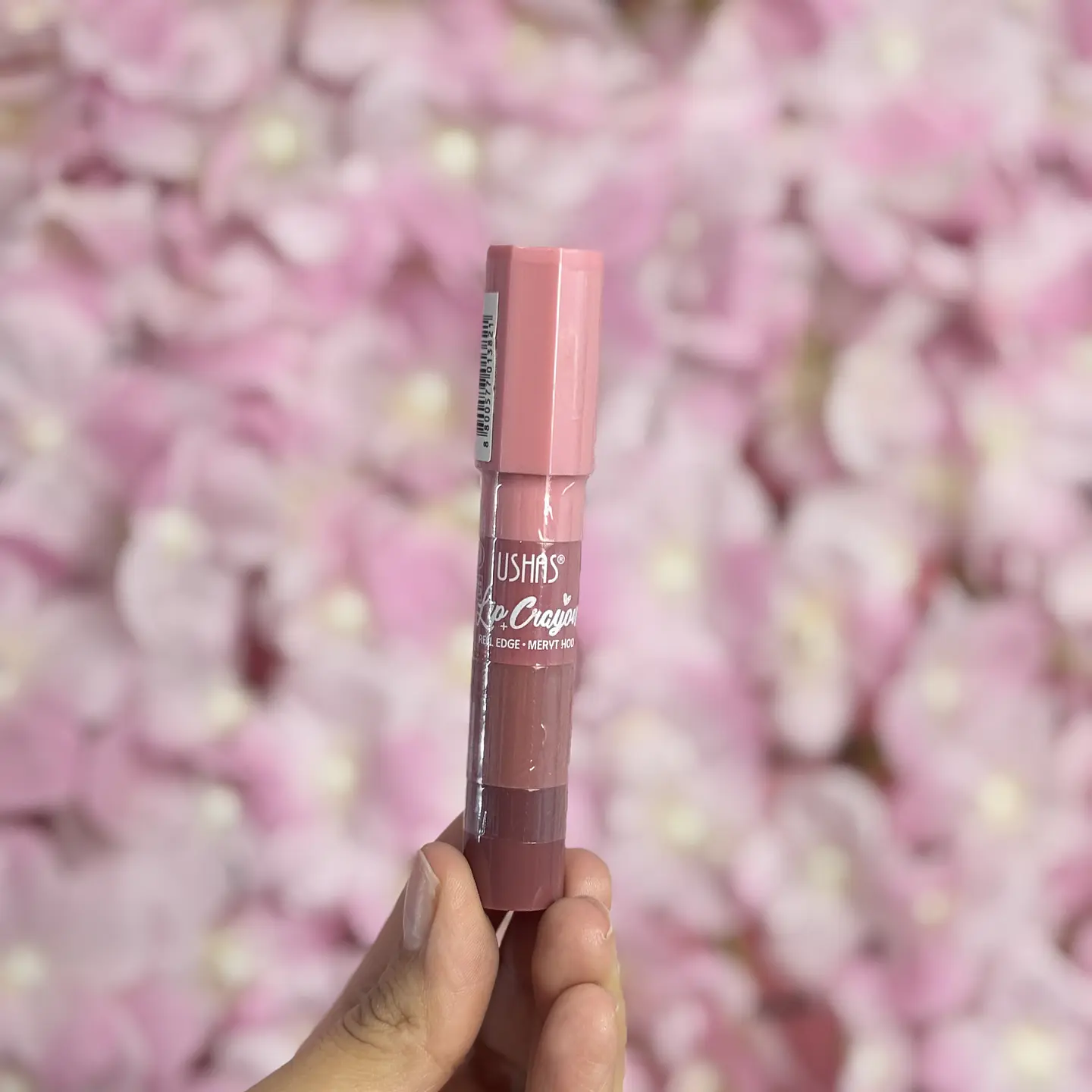 LIP CRAYON USHAS 2