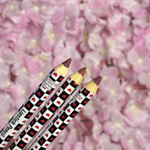 delineador de labios (azar)