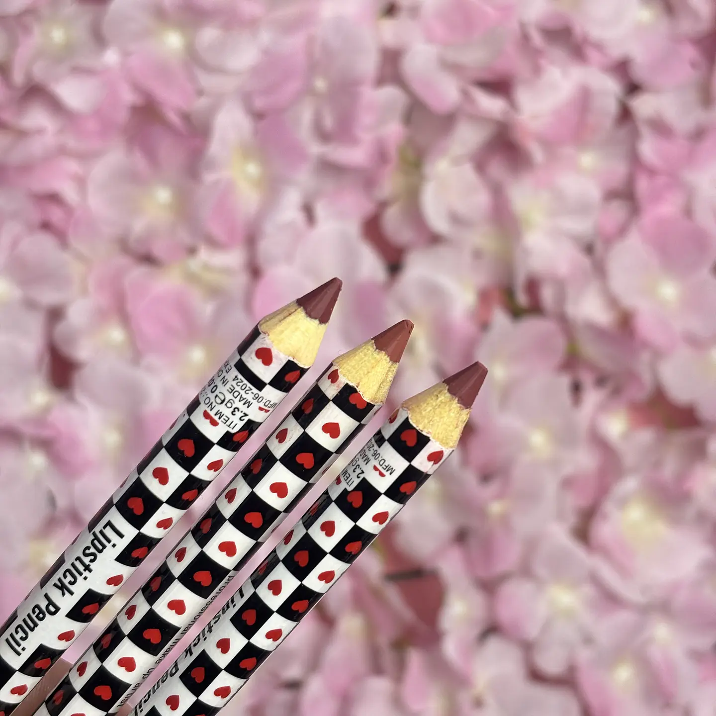 delineador de labios (azar) 2