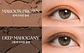 Better Than Palette – #02 Mahogany Garden - Miniatura 4