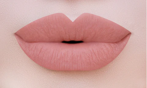 labial en barra "totally nude"