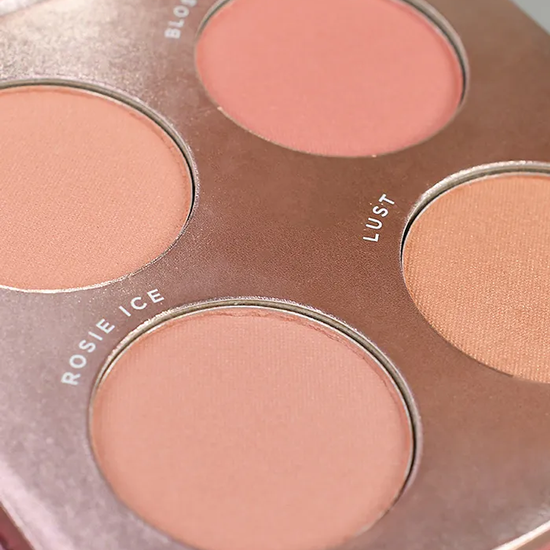 Paleta De Blush 01 2