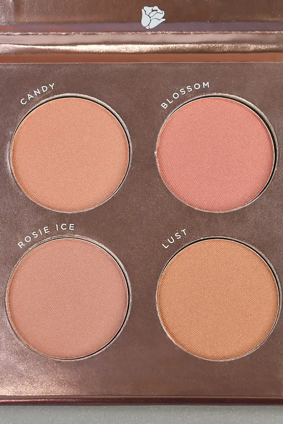 Paleta De Blush 01 4