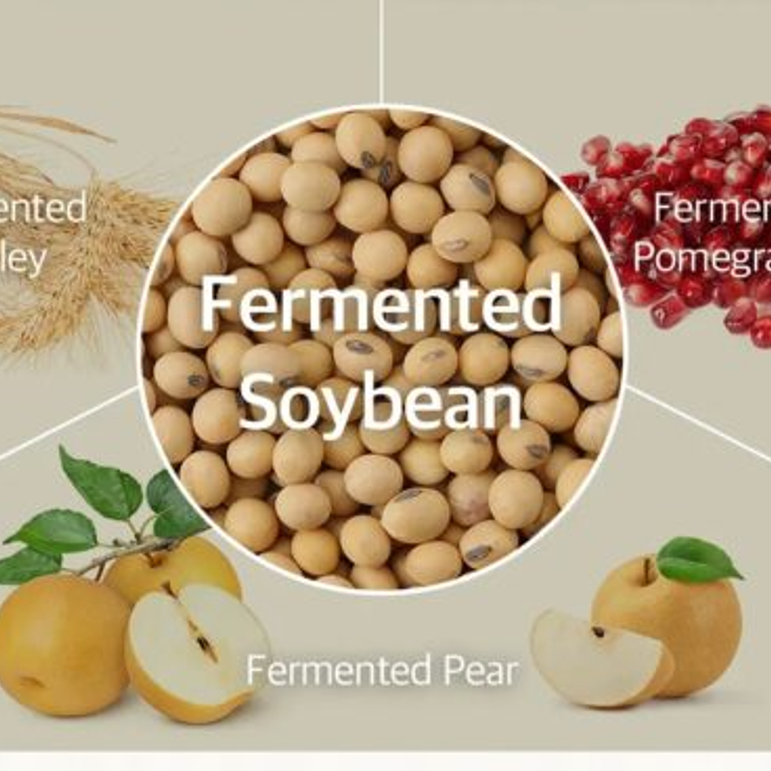 Bean Cream – Tubo 25 ml 6