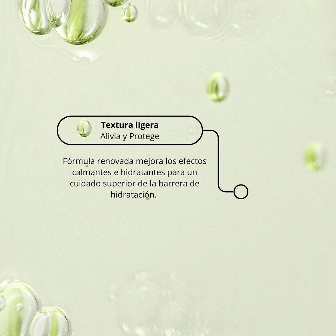 Calming Serum: Green Tea + Panthenol 5