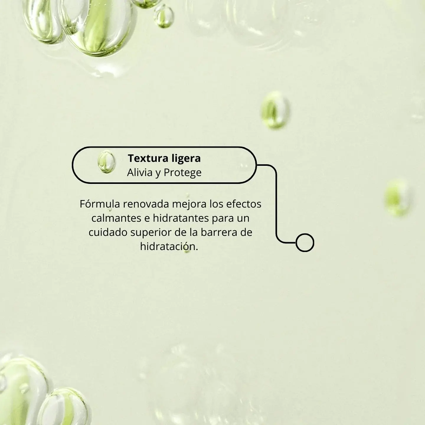 Calming Serum: Green Tea + Panthenol 5