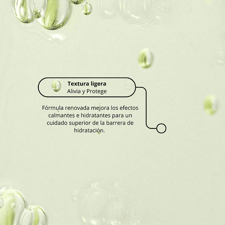 Calming Serum: Green Tea + Panthenol 5