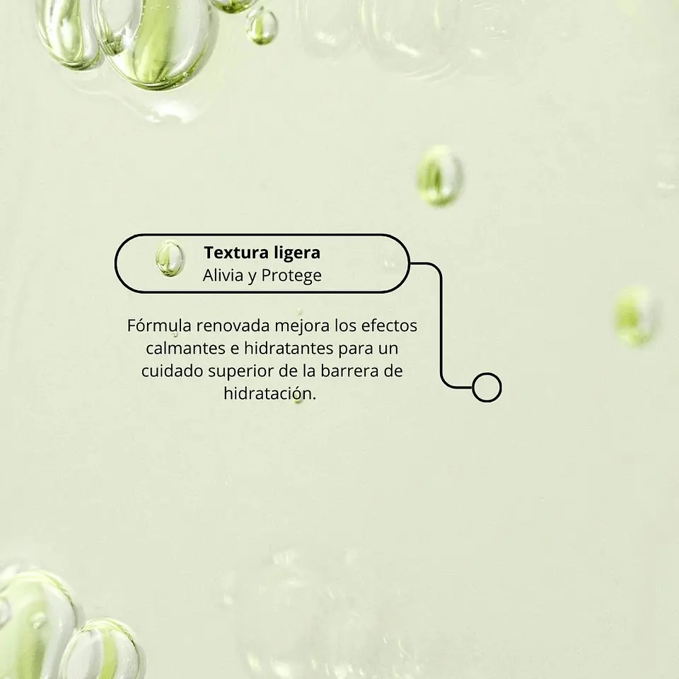 Calming Serum: Green Tea + Panthenol 5