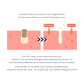 15% Niacinamide Purity Serum 30Ml - Miniatura 3