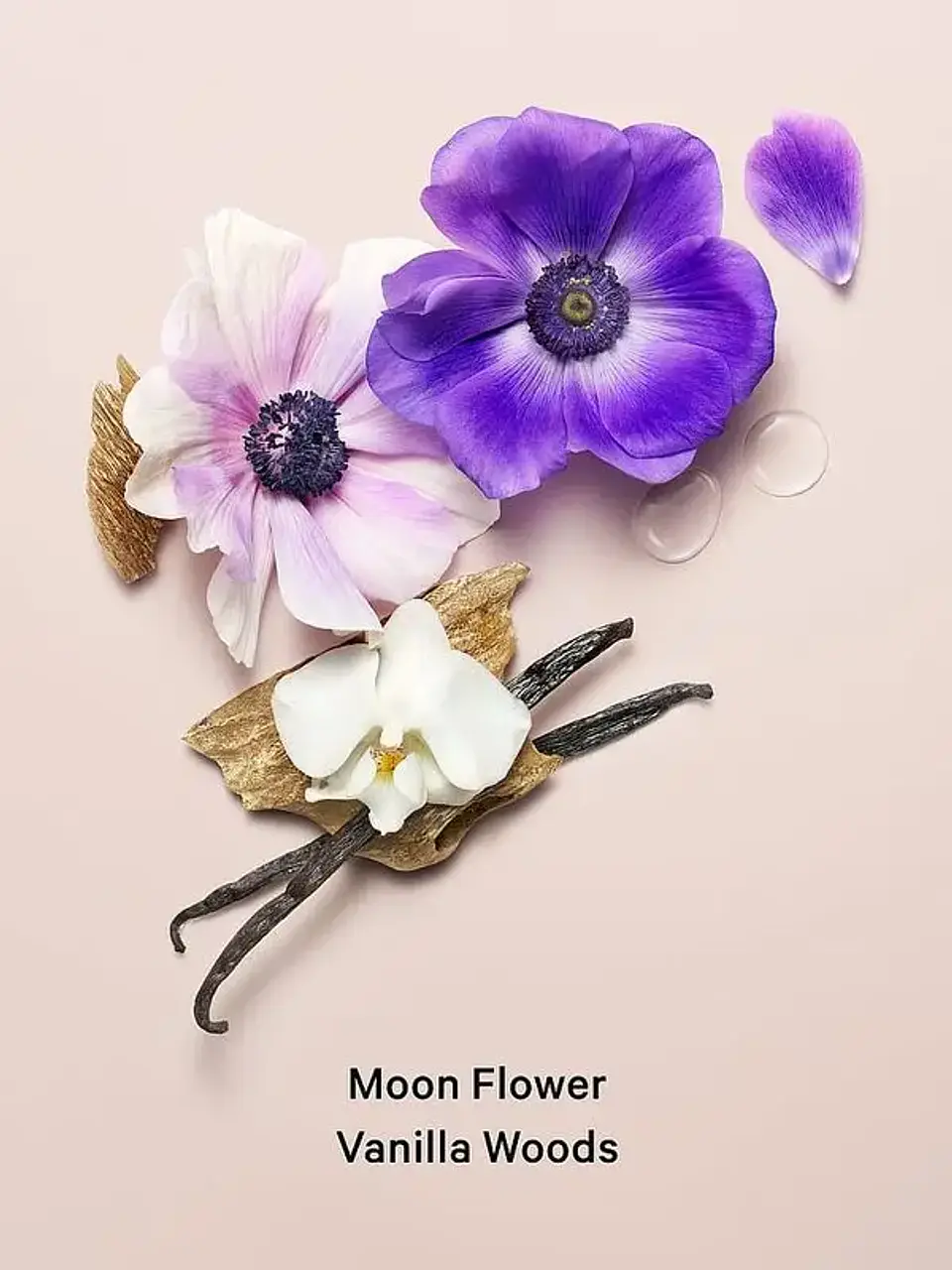 Crema Corporal Midnight Bloom Con Brillo 236 ml 2