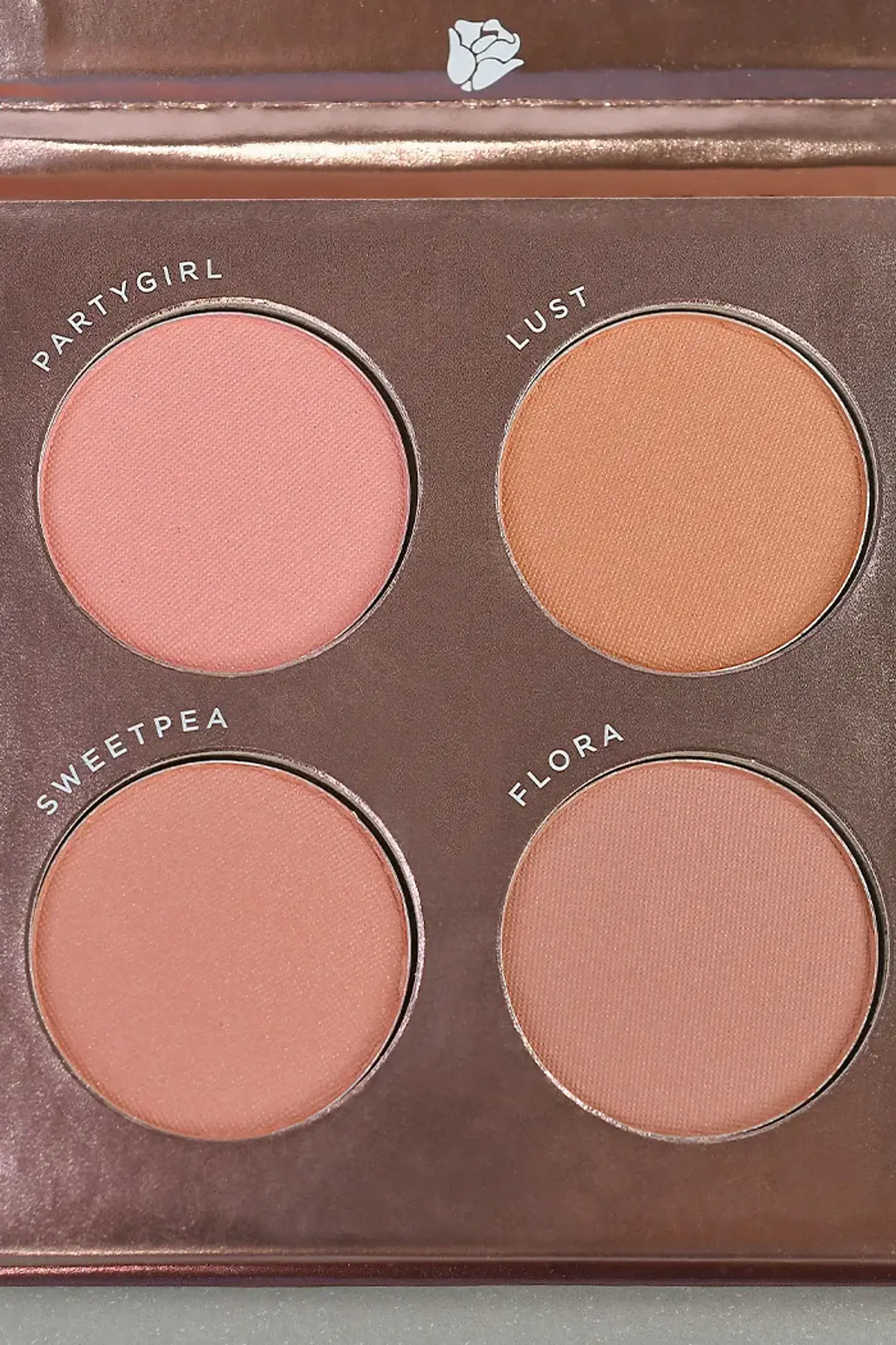 Paleta De Blush 02 2