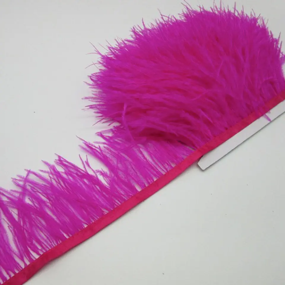 Plumas Fucsia 1