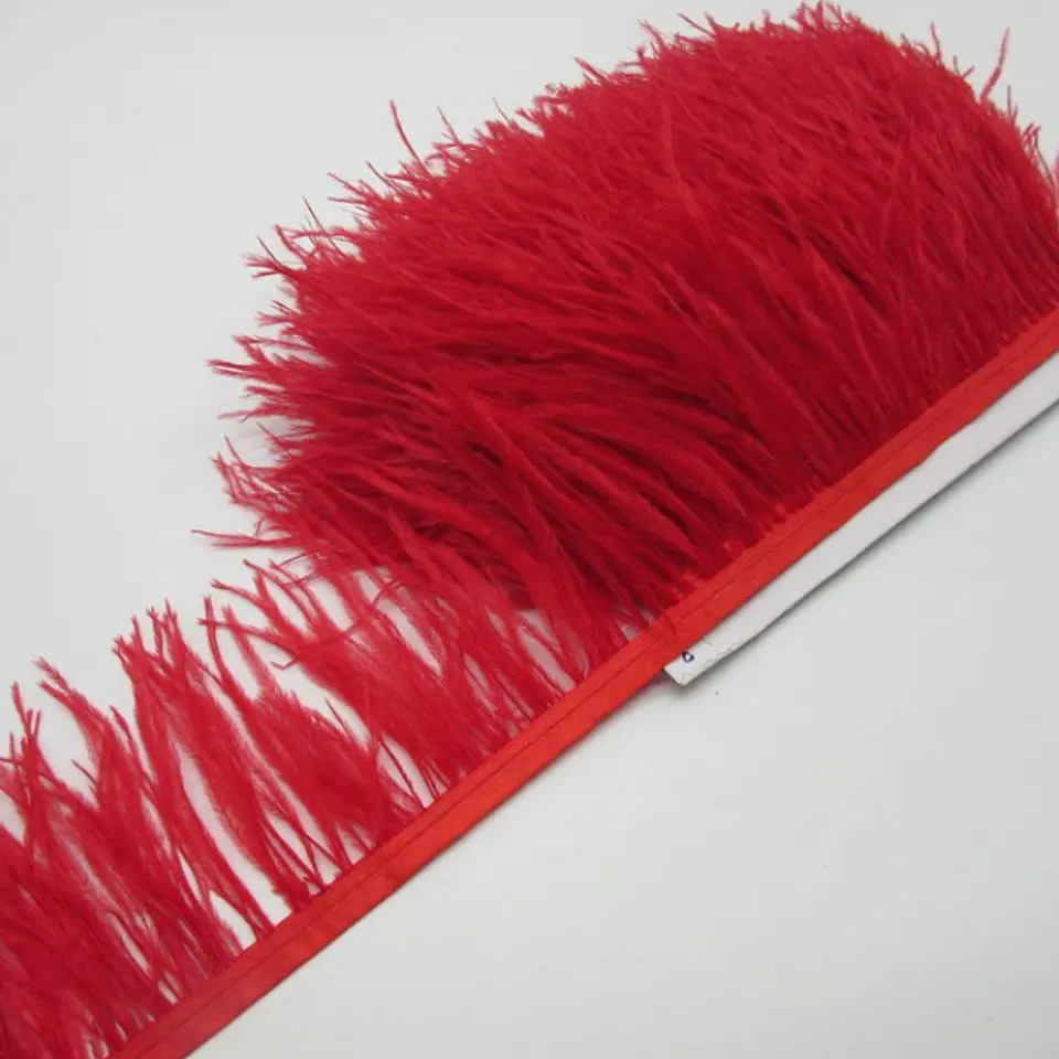 Plumas Rojo 1