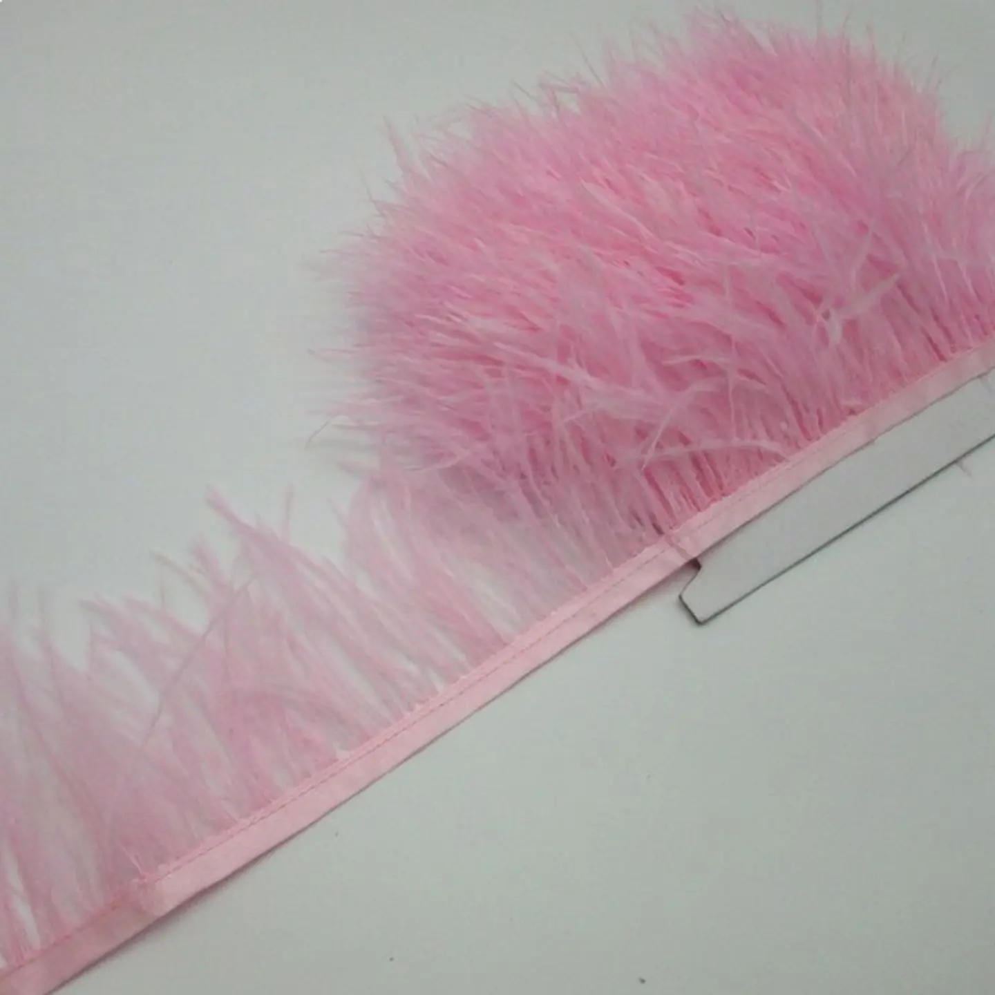 Plumas Rosada 1