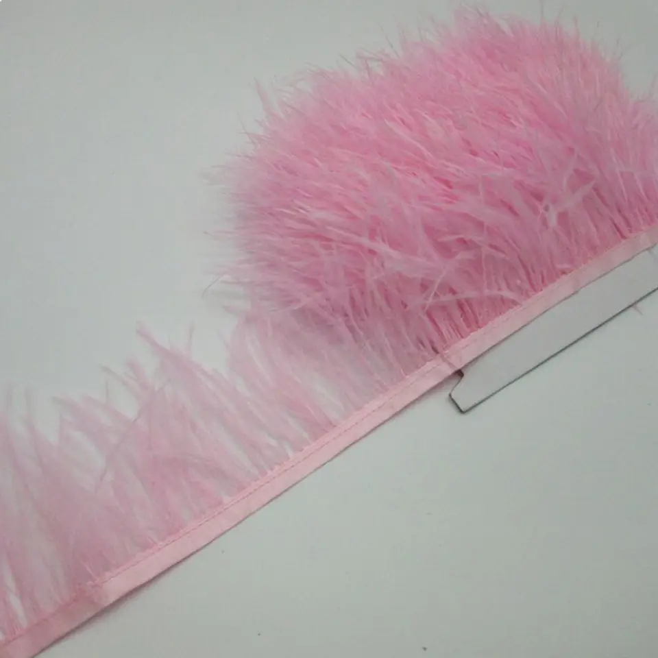 Plumas Rosada 1