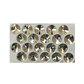 Crystal rivoli clear - Miniatura 6