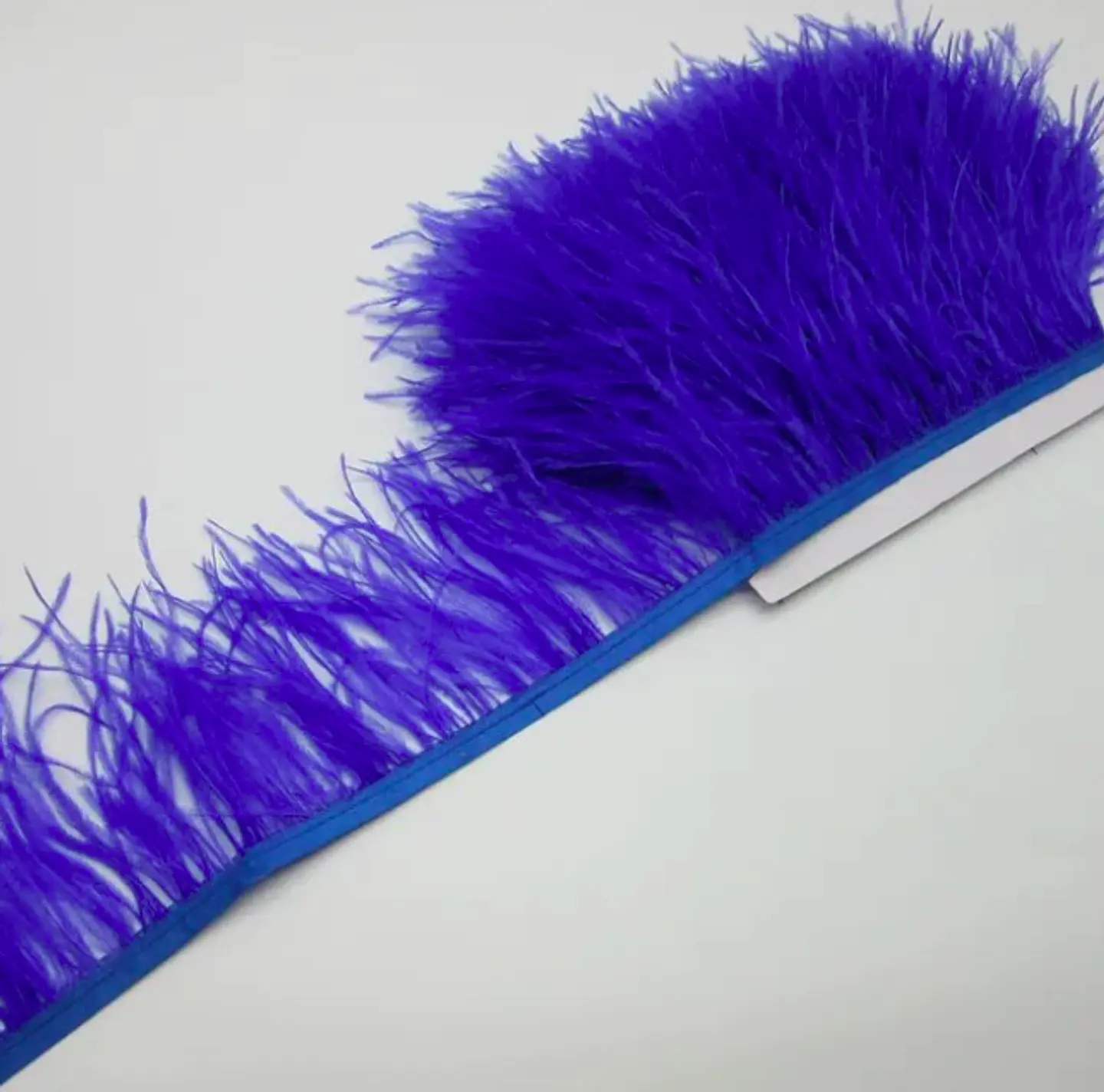 Plumas Azul Rey 1