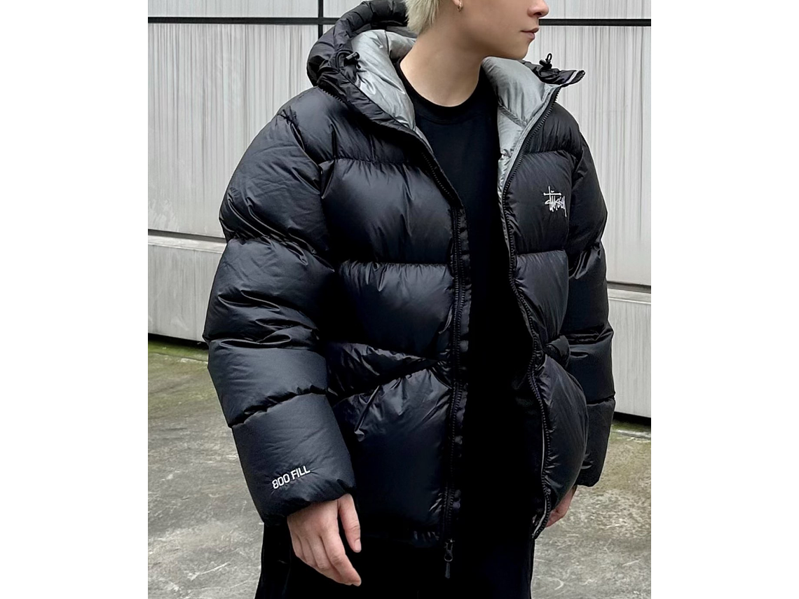Stussy Micro Ripstop Down Parka 3