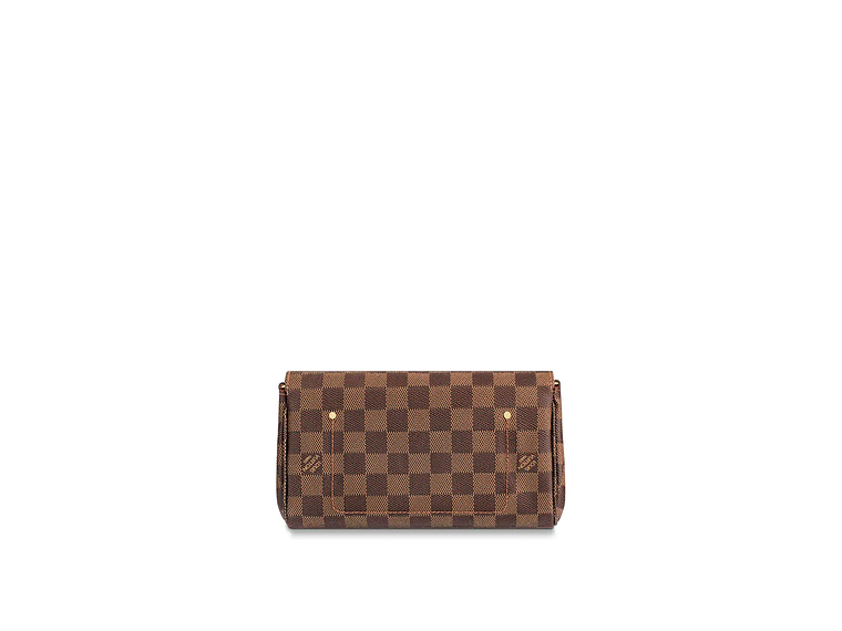 LOUIS VUITTON FAVORITE BAG 2