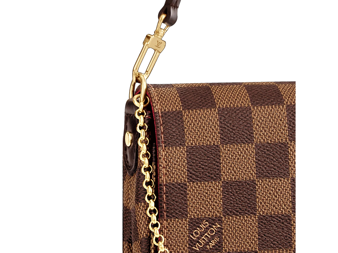 LOUIS VUITTON FAVORITE BAG 3