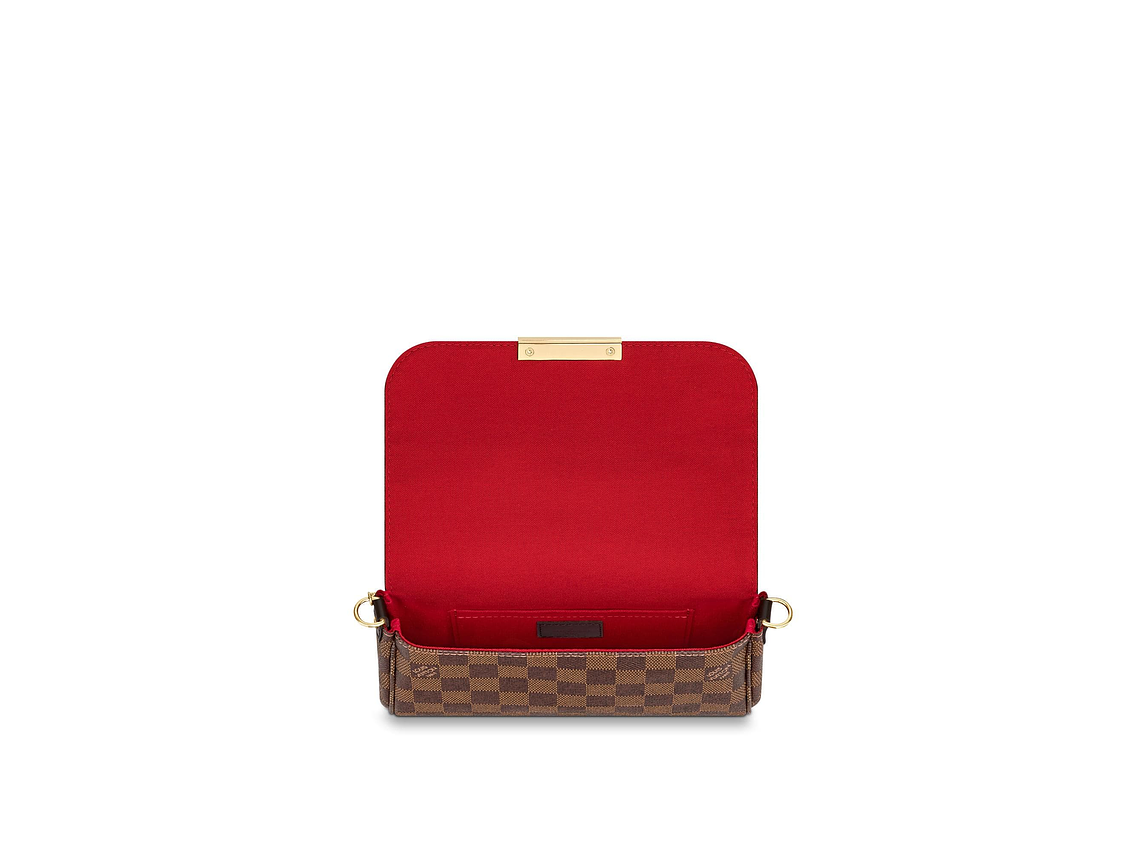 LOUIS VUITTON FAVORITE BAG 5
