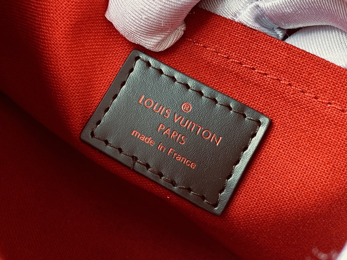 LOUIS VUITTON FAVORITE BAG 9