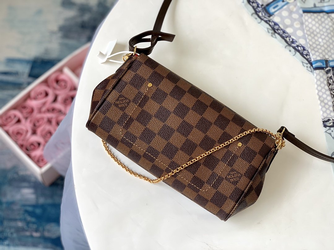 LOUIS VUITTON FAVORITE BAG 10
