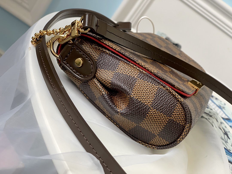 LOUIS VUITTON FAVORITE BAG 12