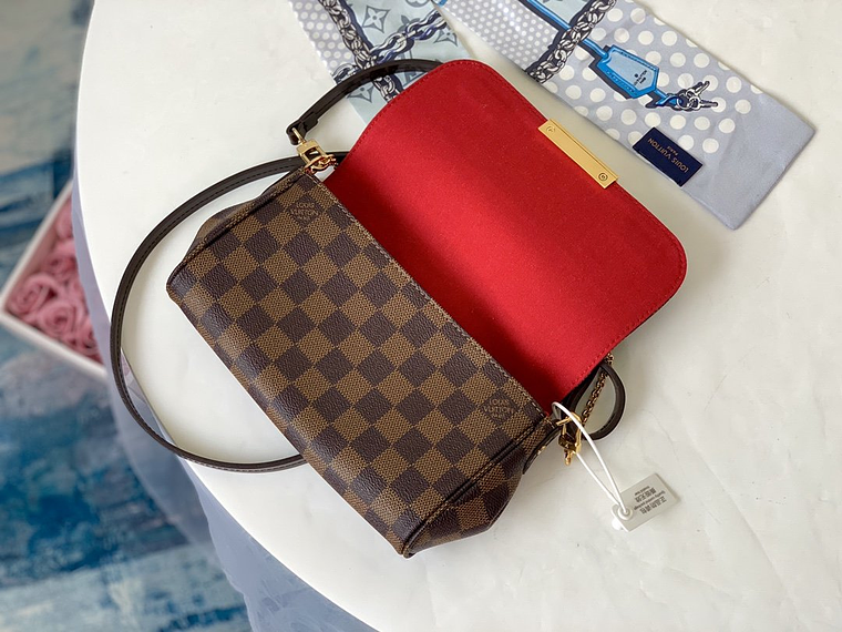 LOUIS VUITTON FAVORITE BAG 16