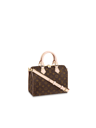 LOUIS VUITTON NANO SPEEDY BAG