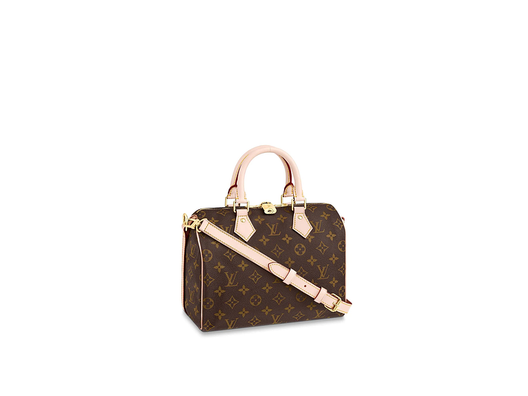 LOUIS VUITTON NANO SPEEDY BAG 1