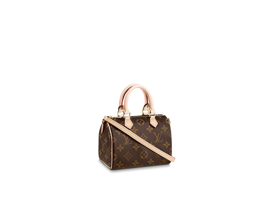 LOUIS VUITTON NANO SPEEDY BAG 1