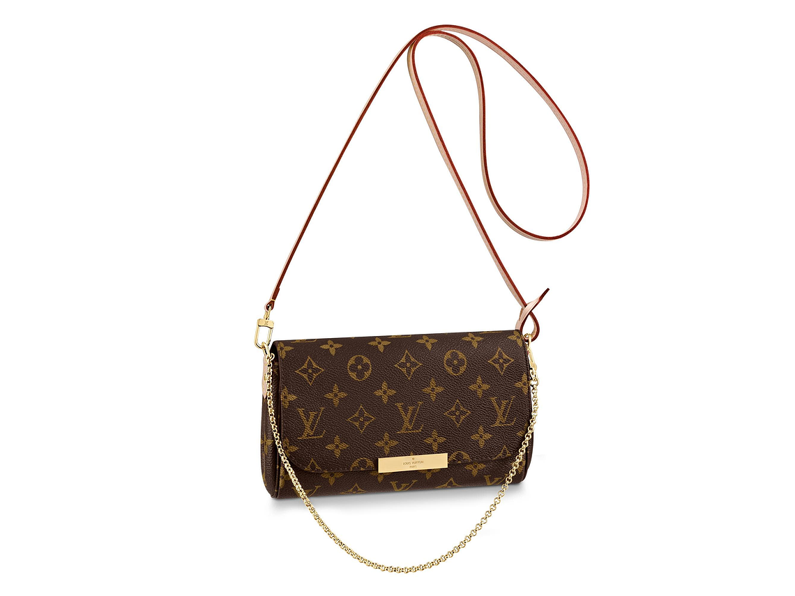 LOUIS VUITTON FAVORITE BAG 1