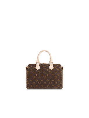 LOUIS VUITTON NANO SPEEDY BAG