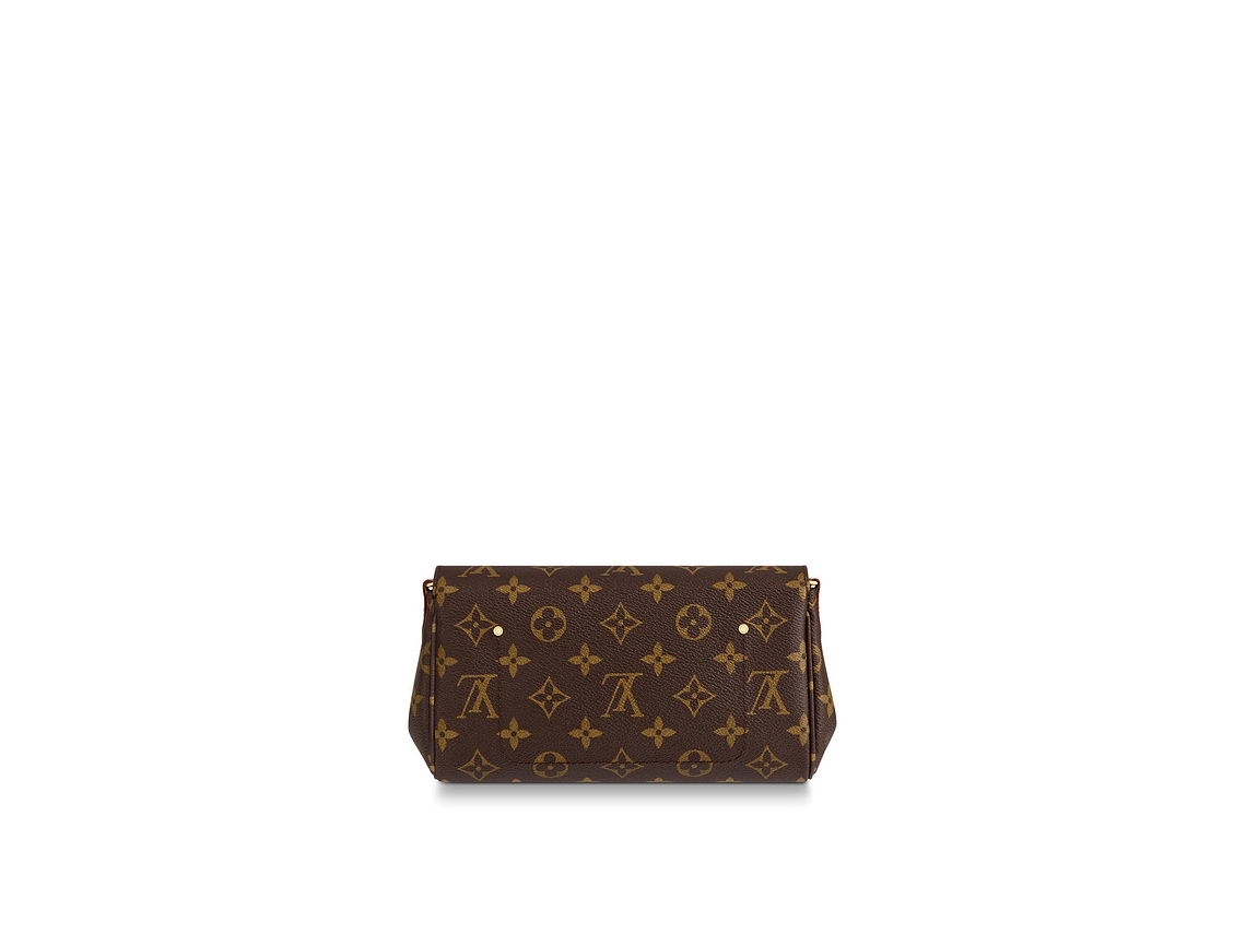 LOUIS VUITTON FAVORITE BAG 2