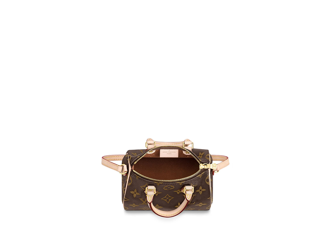 LOUIS VUITTON NANO SPEEDY BAG 4