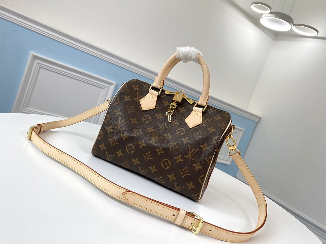 LOUIS VUITTON NANO SPEEDY BAG 4