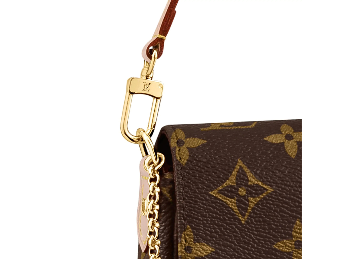 LOUIS VUITTON FAVORITE BAG 3