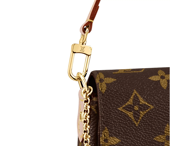 LOUIS VUITTON FAVORITE BAG 3