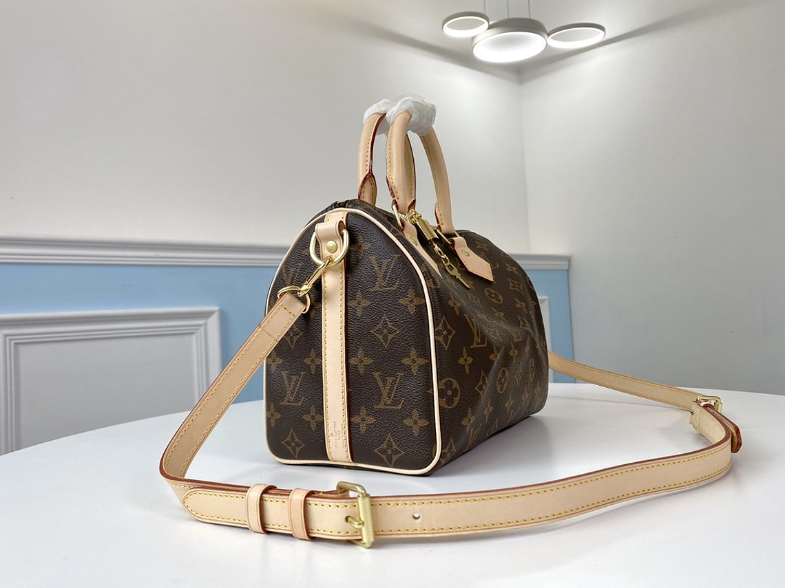 LOUIS VUITTON NANO SPEEDY BAG 5