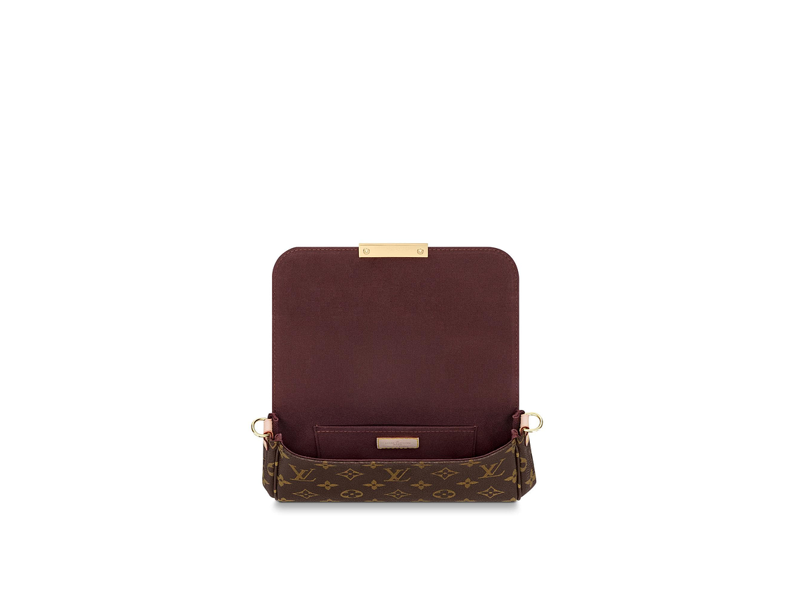 LOUIS VUITTON FAVORITE BAG 4