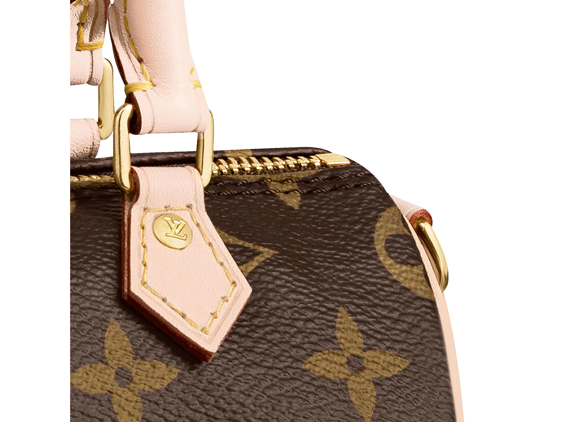 LOUIS VUITTON NANO SPEEDY BAG 5