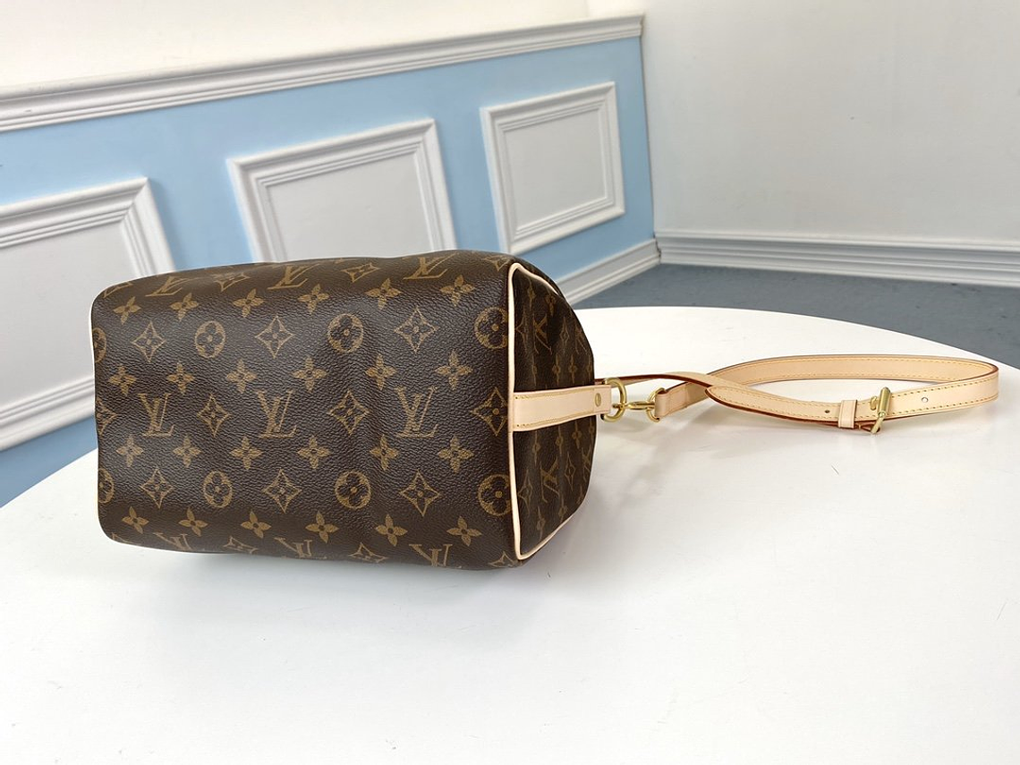 LOUIS VUITTON NANO SPEEDY BAG 6