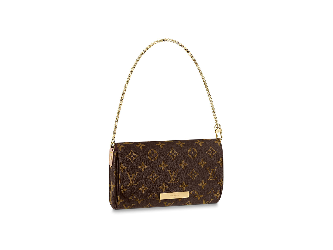 LOUIS VUITTON FAVORITE BAG 5
