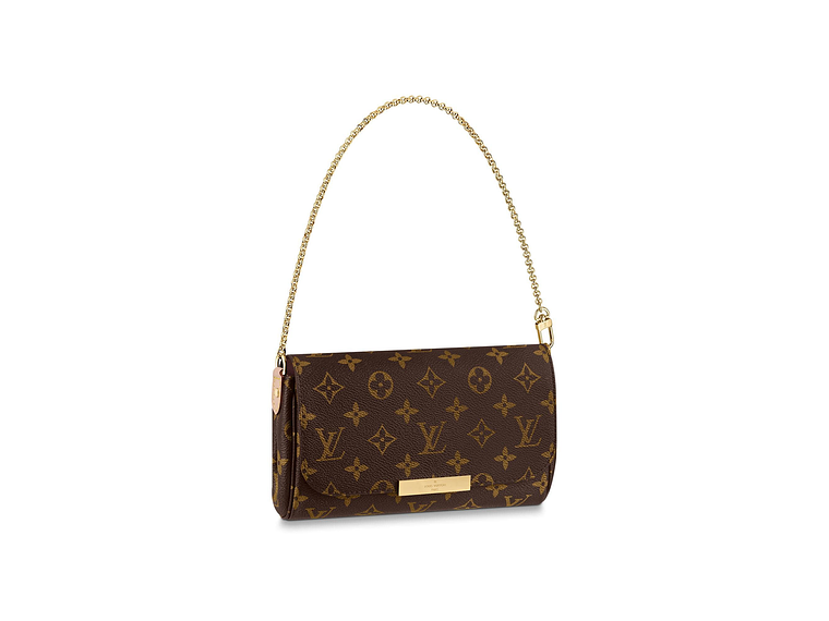LOUIS VUITTON FAVORITE BAG 5